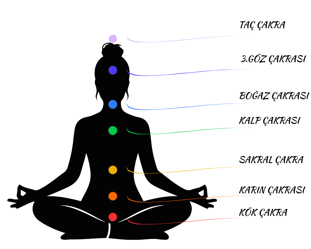 Çakra Sistemi